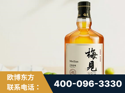 溧阳-梅见青梅酒